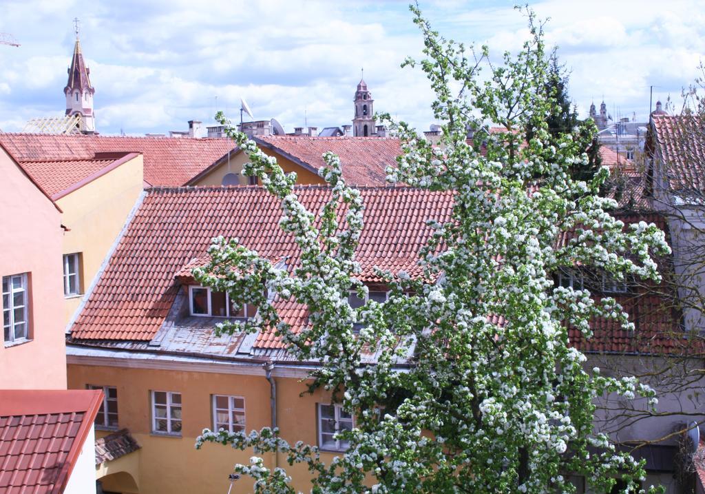 Old Town Apartment Antokolskio VNO Kültér fotó